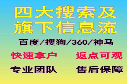 行业领先企业的sem竞价策略：成功案例剖析